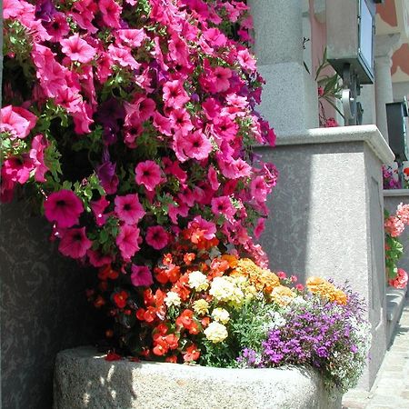 Hotel Sammer Neufelden Εξωτερικό φωτογραφία