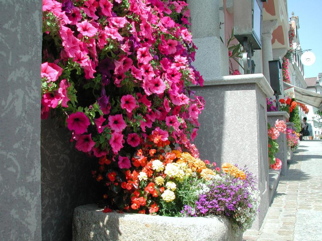 Hotel Sammer Neufelden Εξωτερικό φωτογραφία