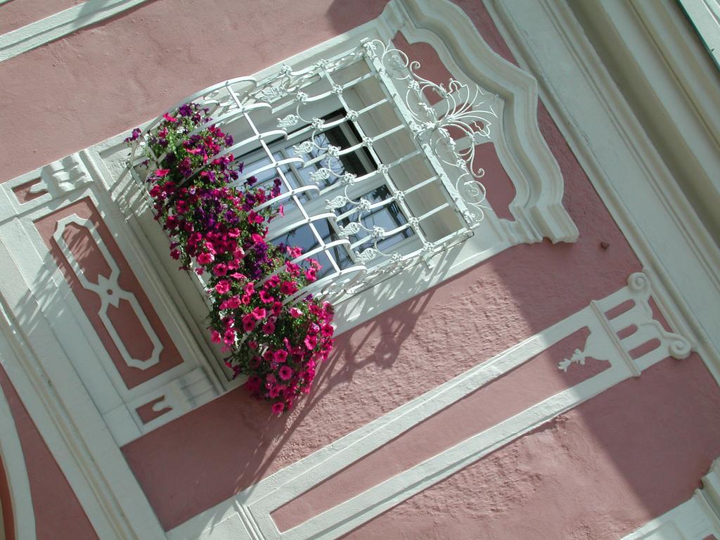 Hotel Sammer Neufelden Εξωτερικό φωτογραφία